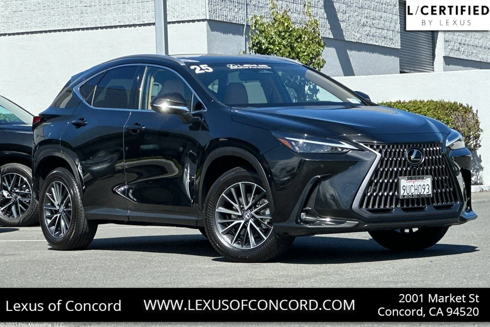 2025 Lexus NX 350 350 Premium AWD's photo