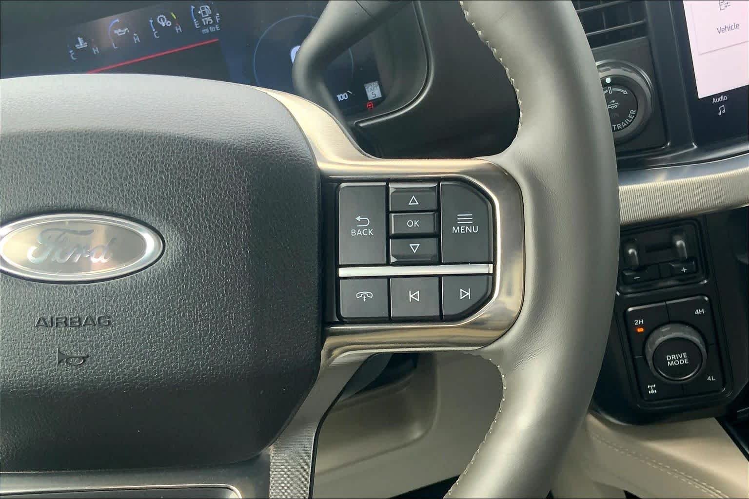 Used 2026 Star White Ford Platinum image 25