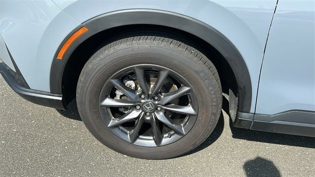 Photo 8