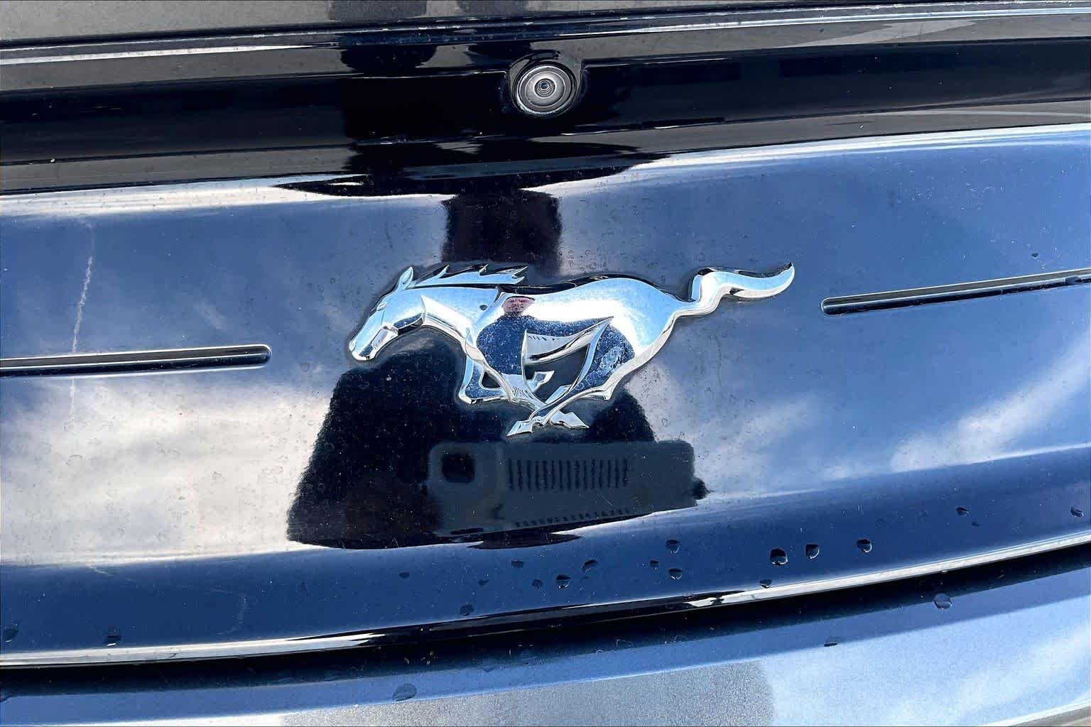 Used 2020 Magnetic Metallic Ford EcoBoost image 10