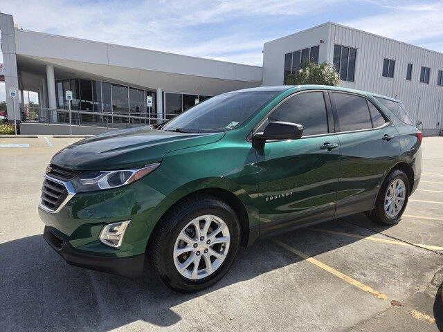 Used 2019 Ivy Metallic Chevrolet LS image 9
