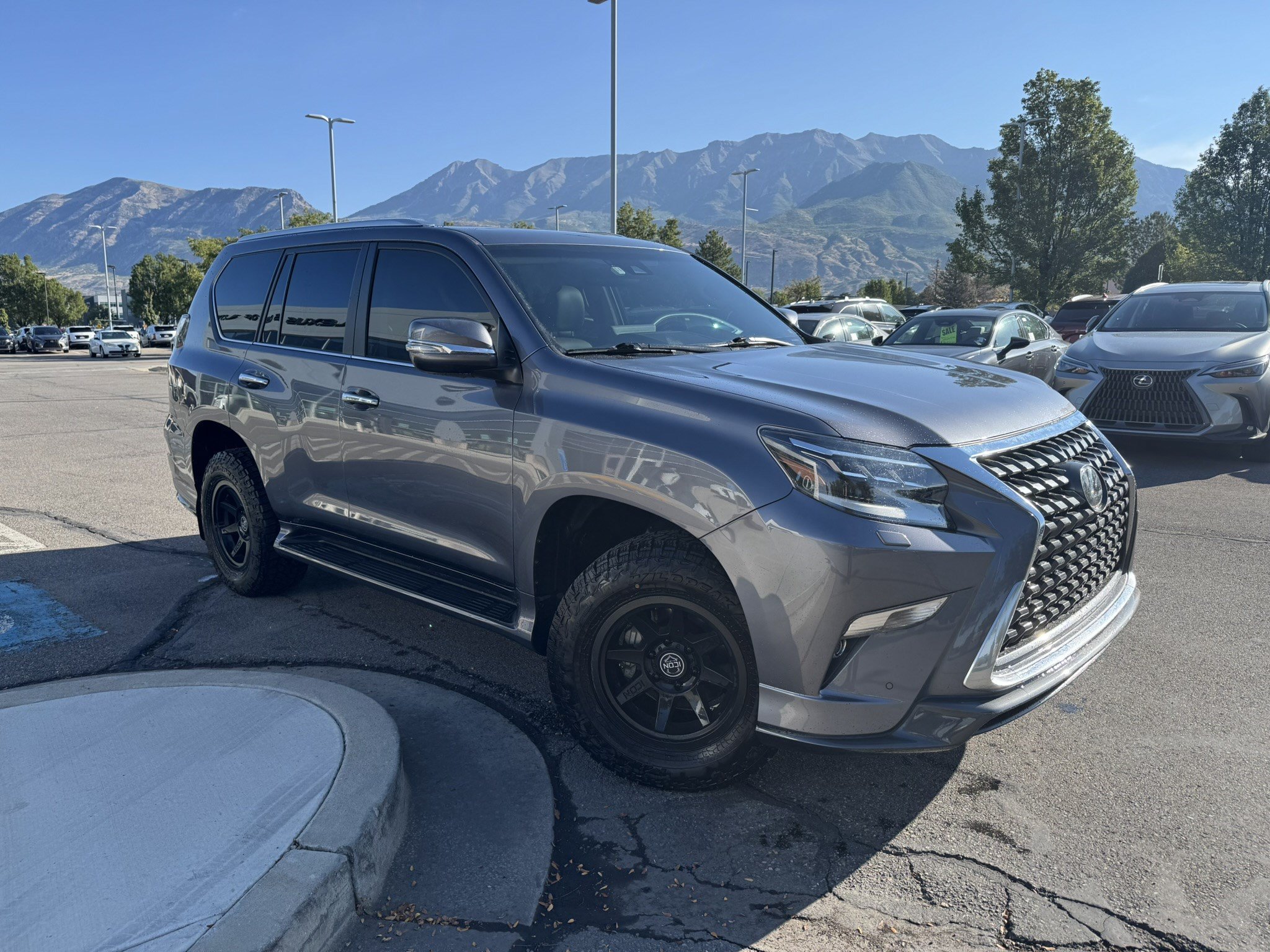 Used 2023 Gray Pearl Lexus 460 Luxury image 2