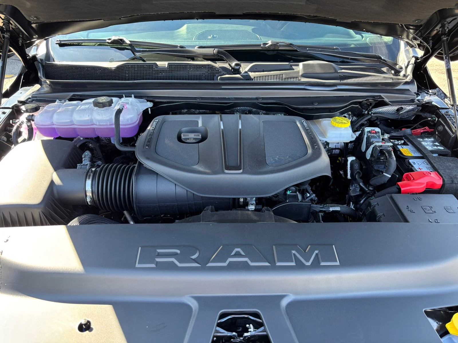 New 2027 Diamond Black Crystal Pearl Ram Express image 20