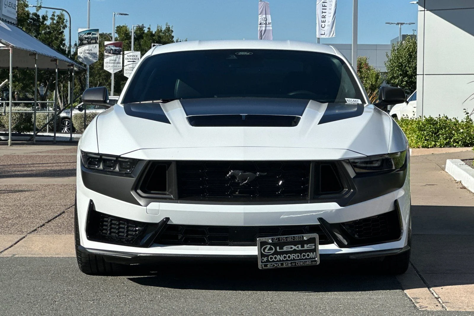 2024 Ford Mustang Dark Horse - Photo 6