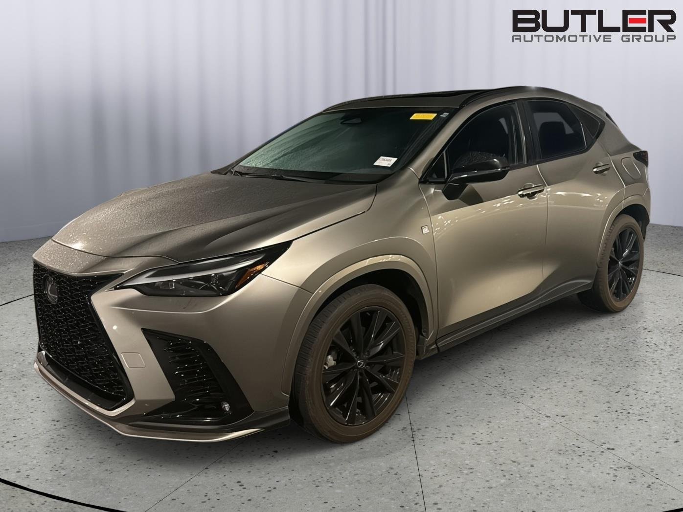 2024 Lexus NX