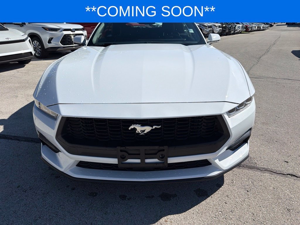 Used 2024 Ford Mustang EcoBoost Premium with VIN 1FAGP8UH6R5137961 for sale in Kansas City
