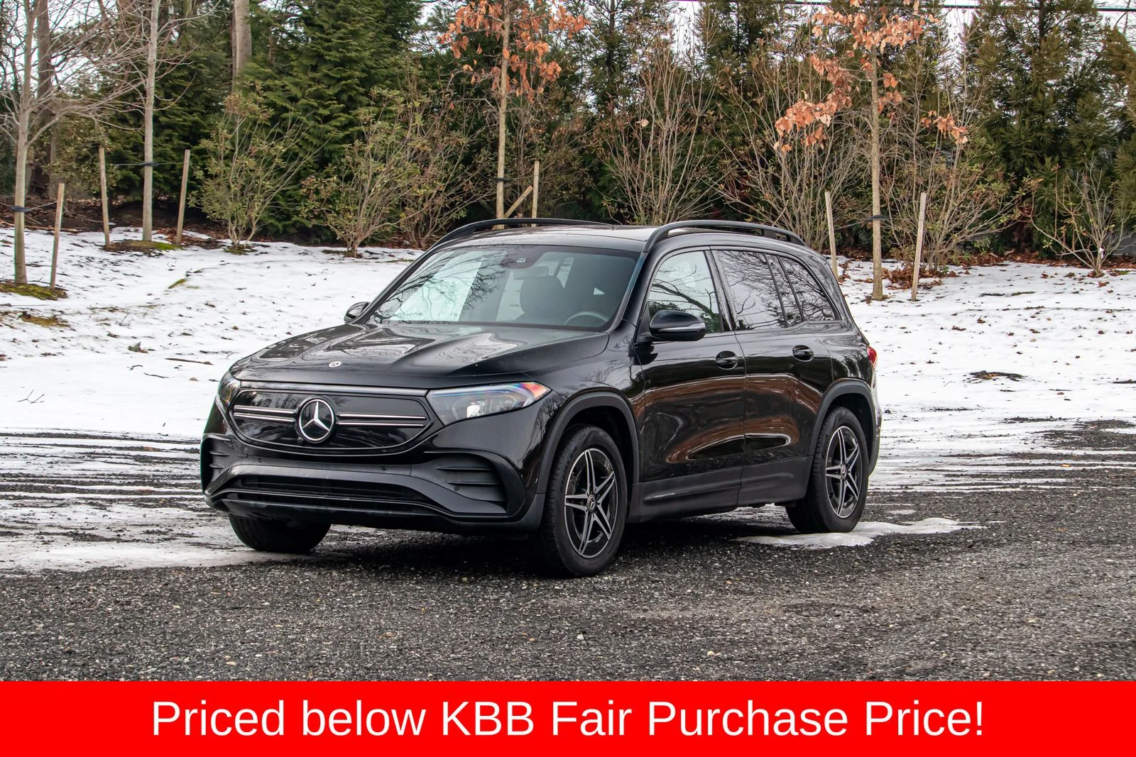 2023 Mercedes-Benz EQB EQB 300's photo