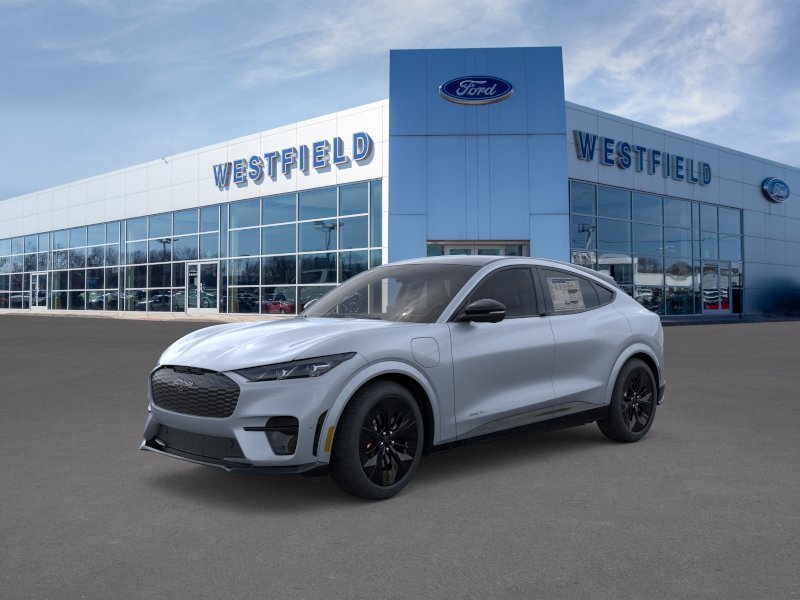 2025 Ford Mustang-Mach-e GT's photo