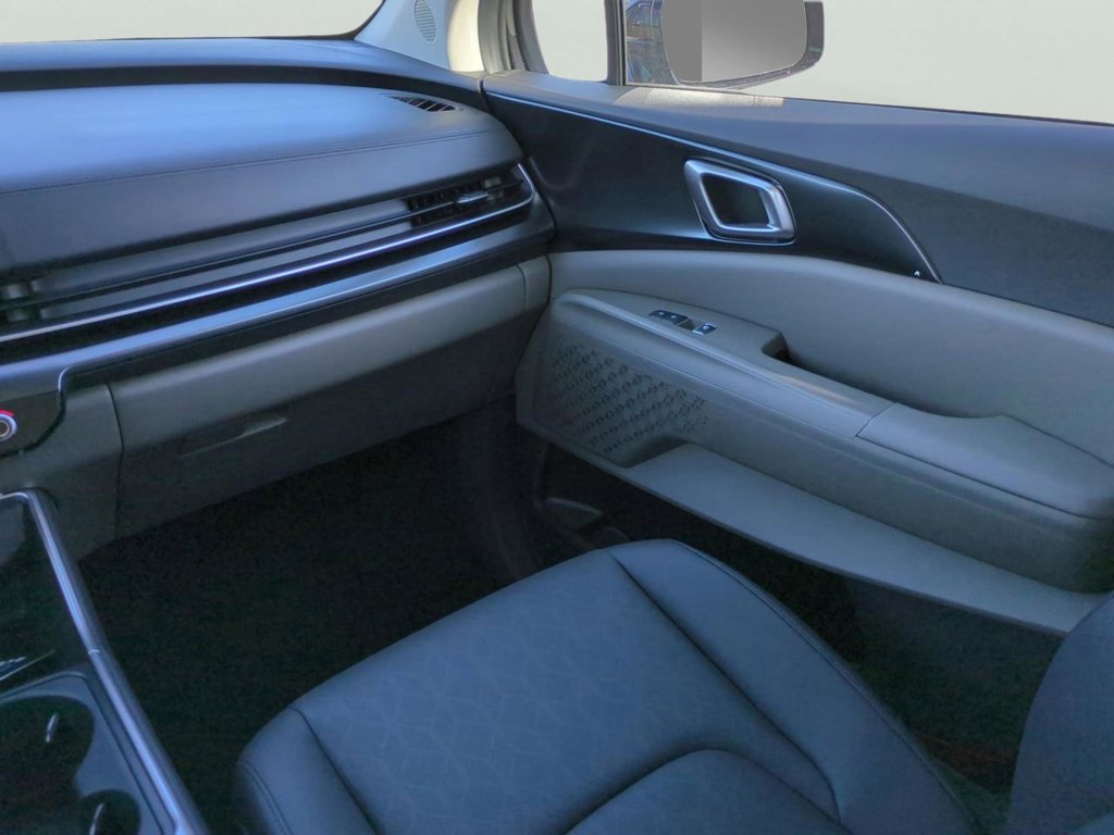 New 2026 Panthera Metal Kia LXS image 18