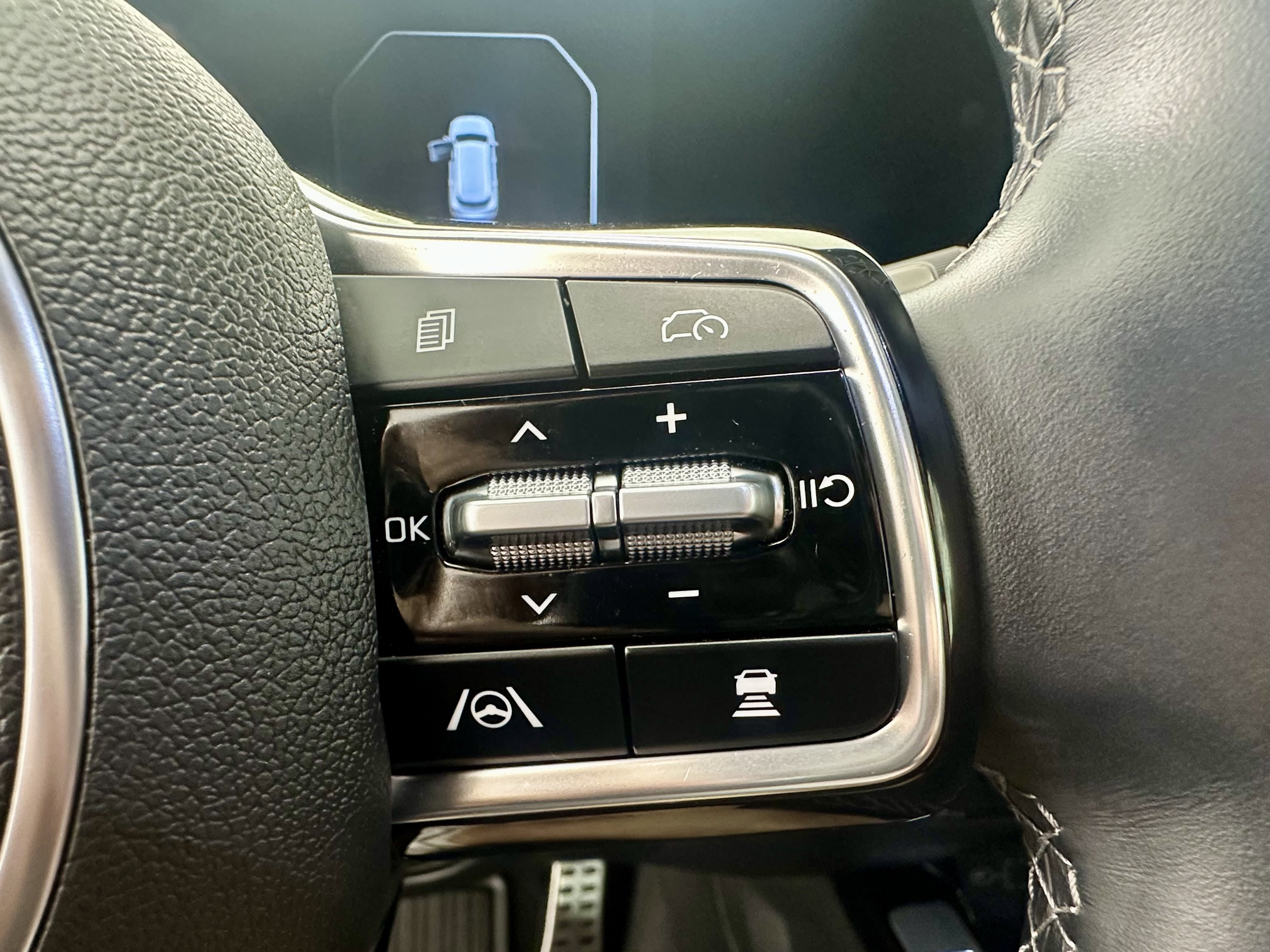 Used 2025 Panthera Metal Kia X-Line SX Prestige image 14