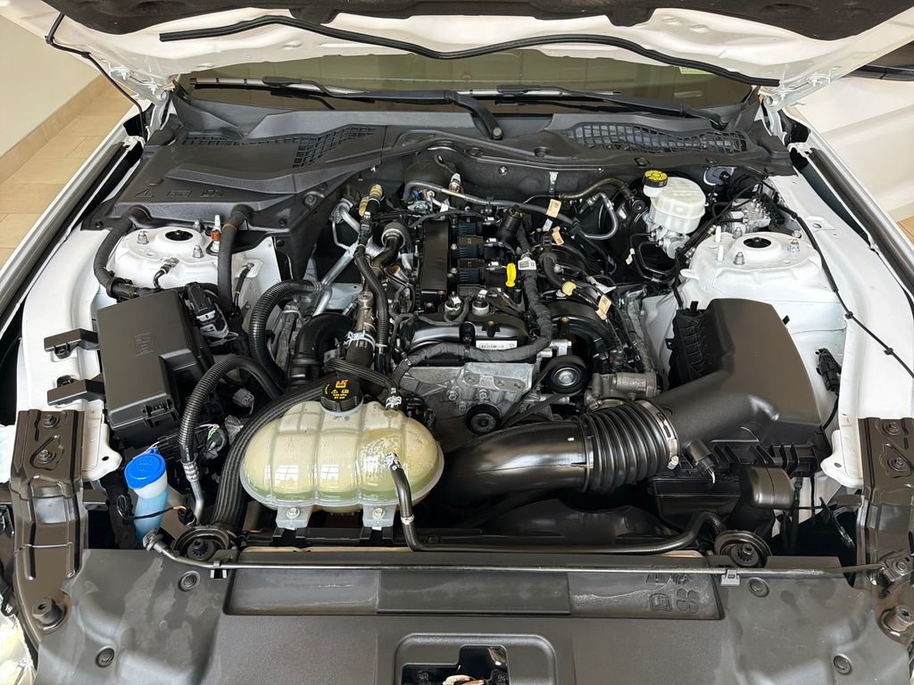 Used 2021 White Ford EcoBoost Premium image 33