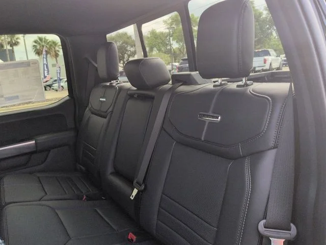 New 2026 Agate Black Metallic Ford Platinum® image 14