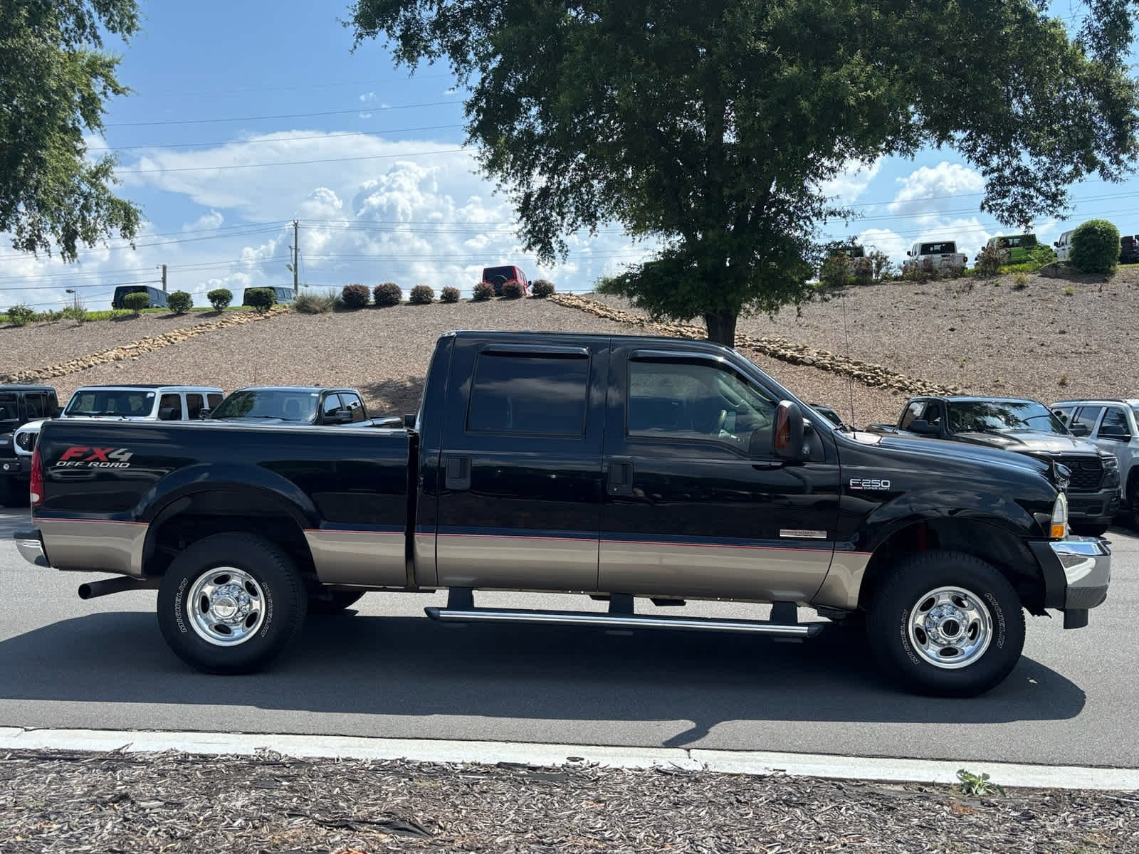 Used 2004 Ford F-250 Super Duty Lariat with VIN 1FTNW21P24EB78609 for sale in Woodstock, GA