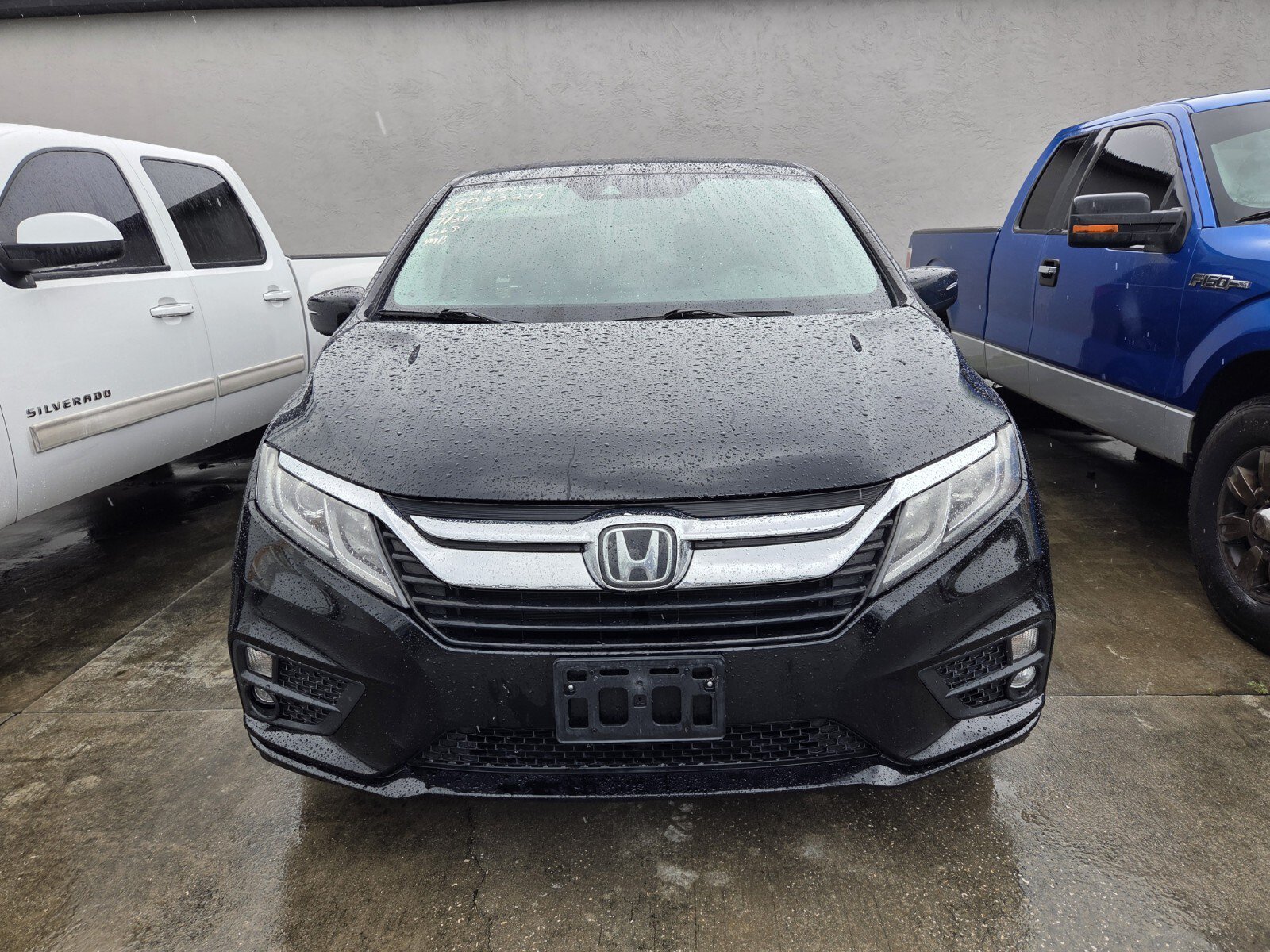 Used 2020  Honda EX-L image 1