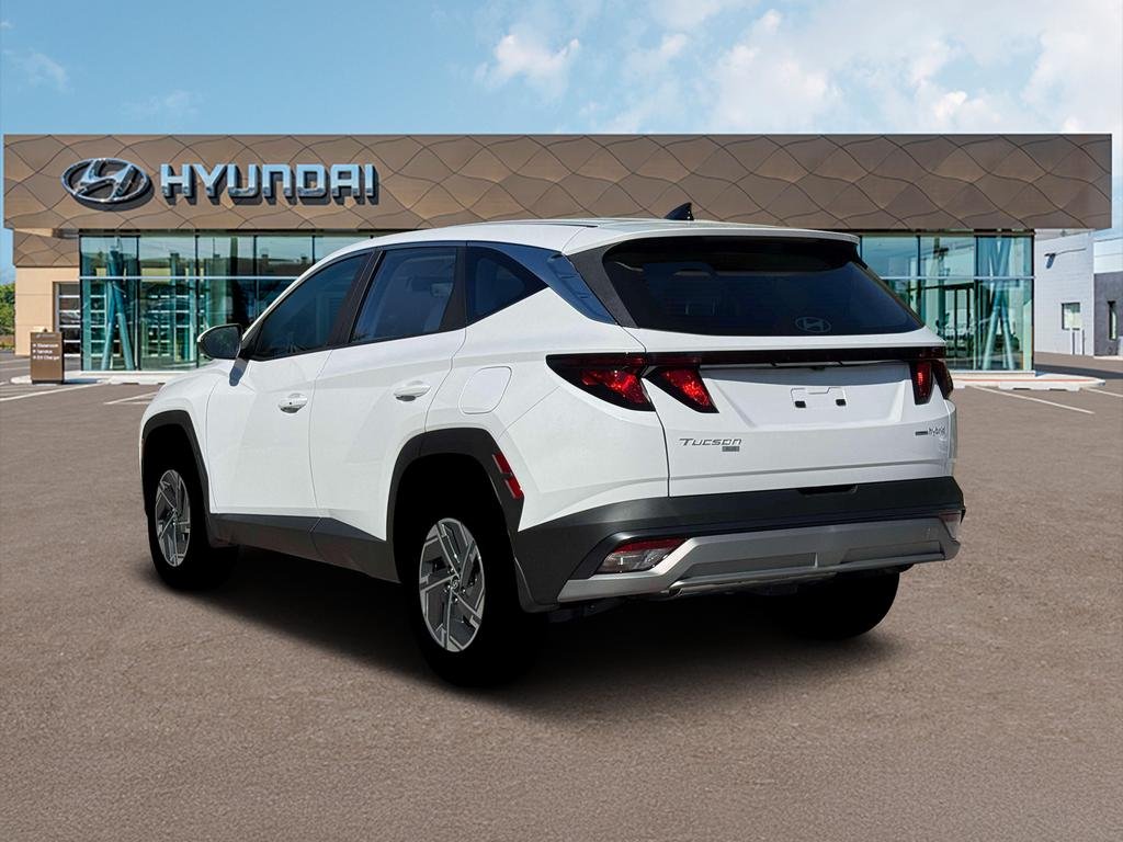 New 2026 Creamy White Pearl Hyundai Blue image 5