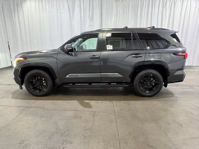 New 2026 Magnetic Gray Metallic Toyota  Platinum image 7