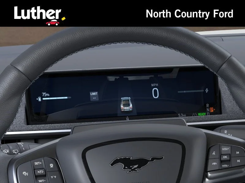 2025 Ford Mustang Mach-E GT - Photo 13