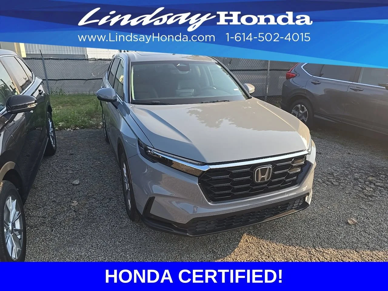 Certified Used 2025 Urban Gray Pearl Honda EX-L image 8