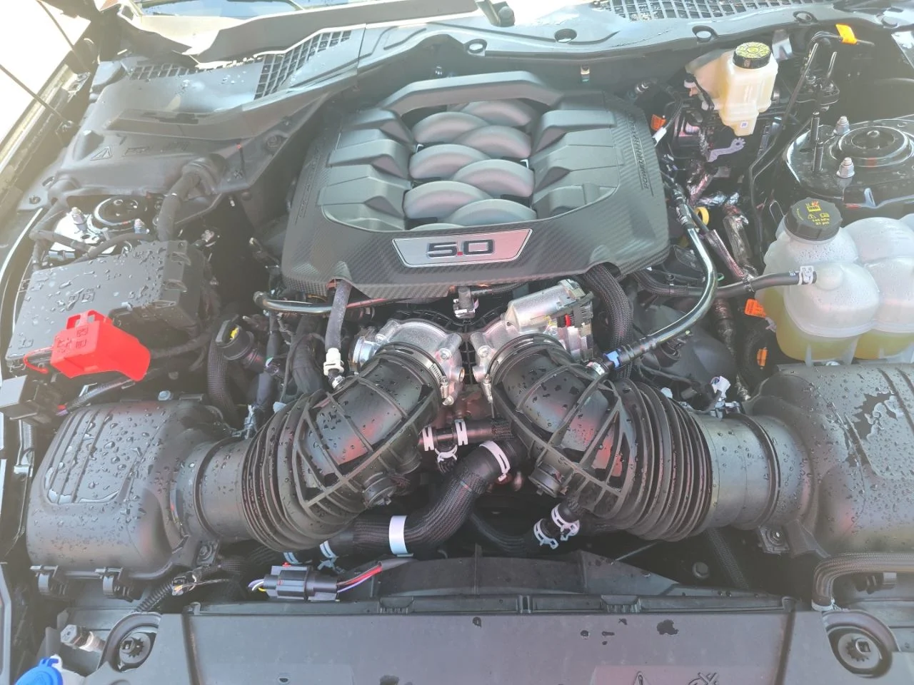 Used 2025 Black Ford GT image 9