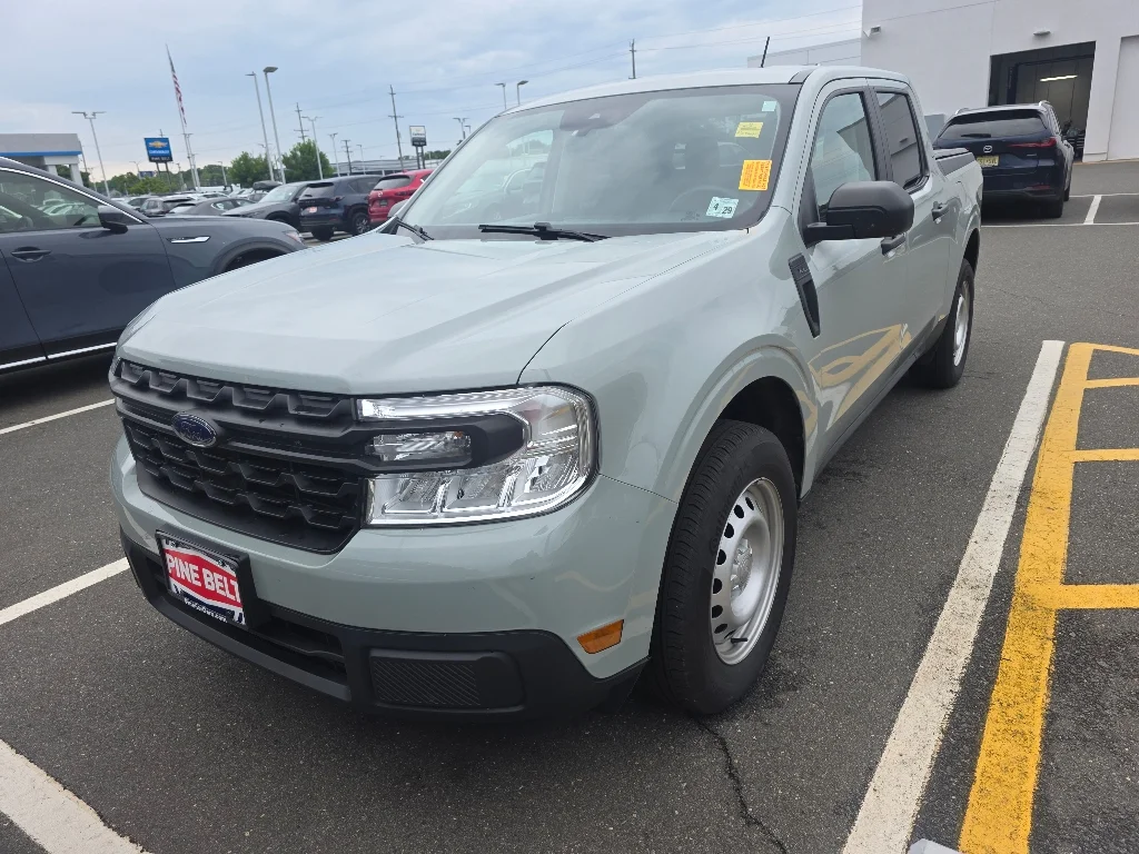 Used 2024 Cactus Gray Ford XL image 1