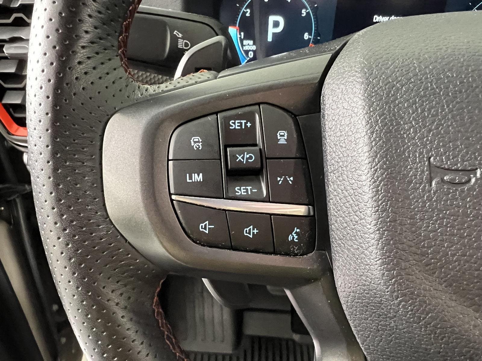 Used 2025 Marsh Gray Ford Raptor image 14
