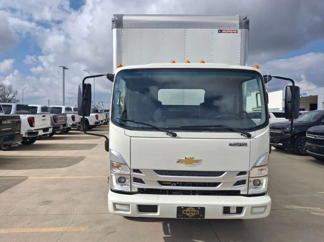 New 2025 White Chevrolet wt image 8
