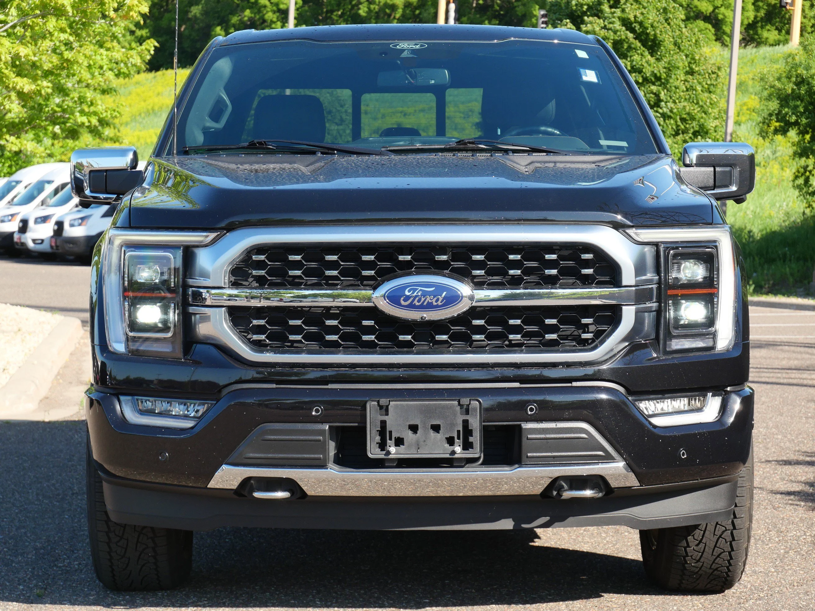 Used 2022 Ford F-150 Platinum with VIN 1FTFW1E8XNFA95586 for sale in Eden Prairie, Minnesota