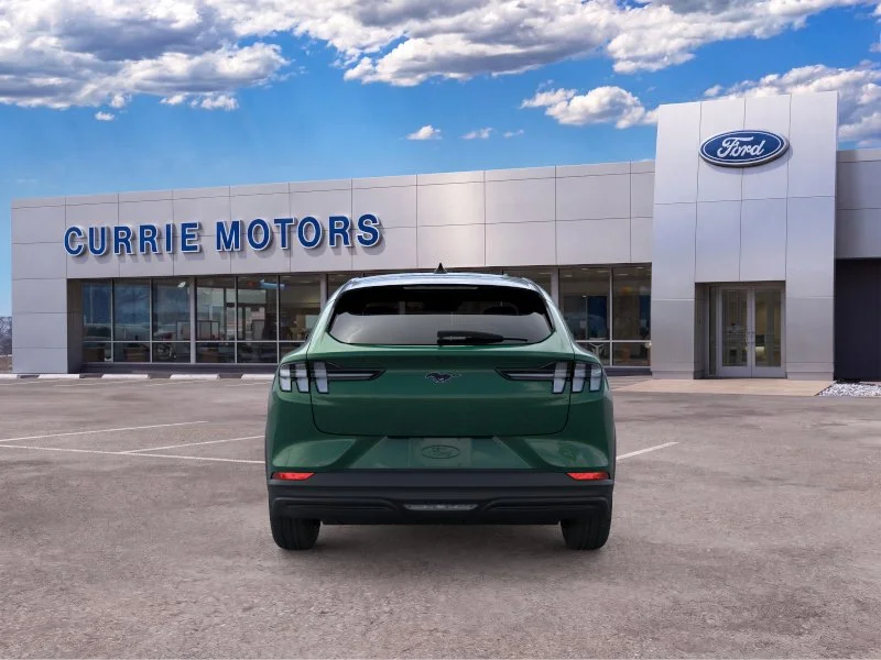 New 2026 Eruption Green Metallic Ford Premium image 5