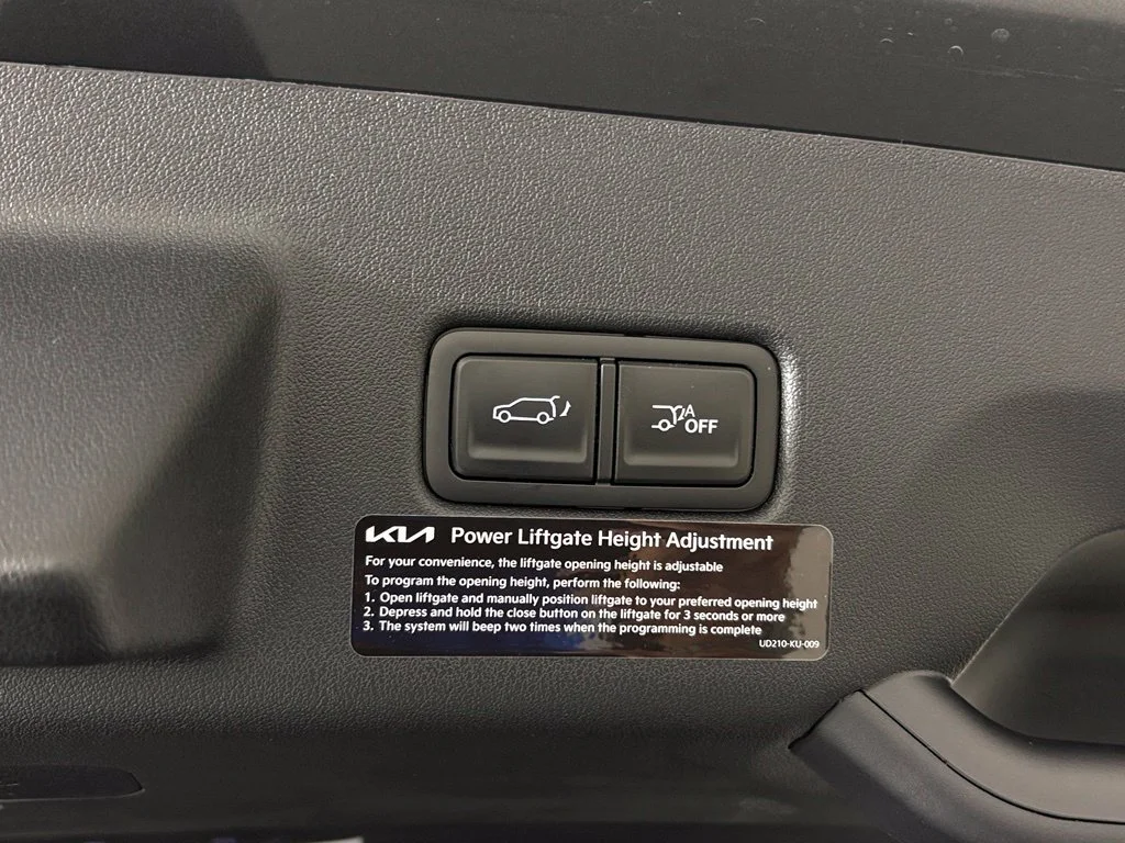 New 2027 Panthera Metal Matte Kia X-Line EX image 42