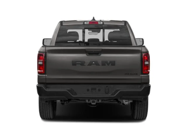 New 2026 Silver Zynith Exterior Paint RAM  image 5