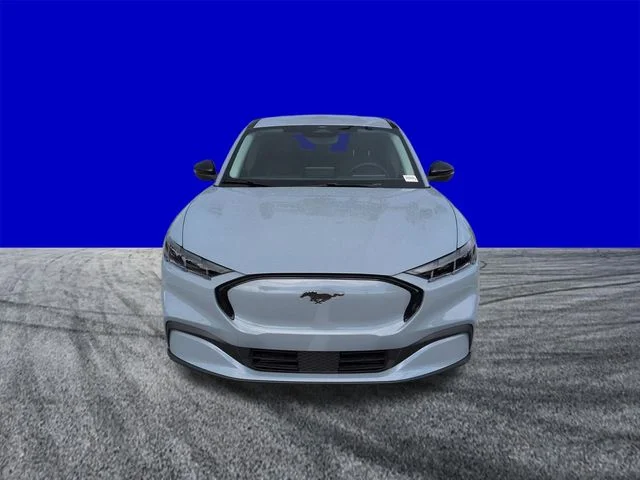 New 2026 Glacier Gray Metallic Tri-coat Ford Premium image 9