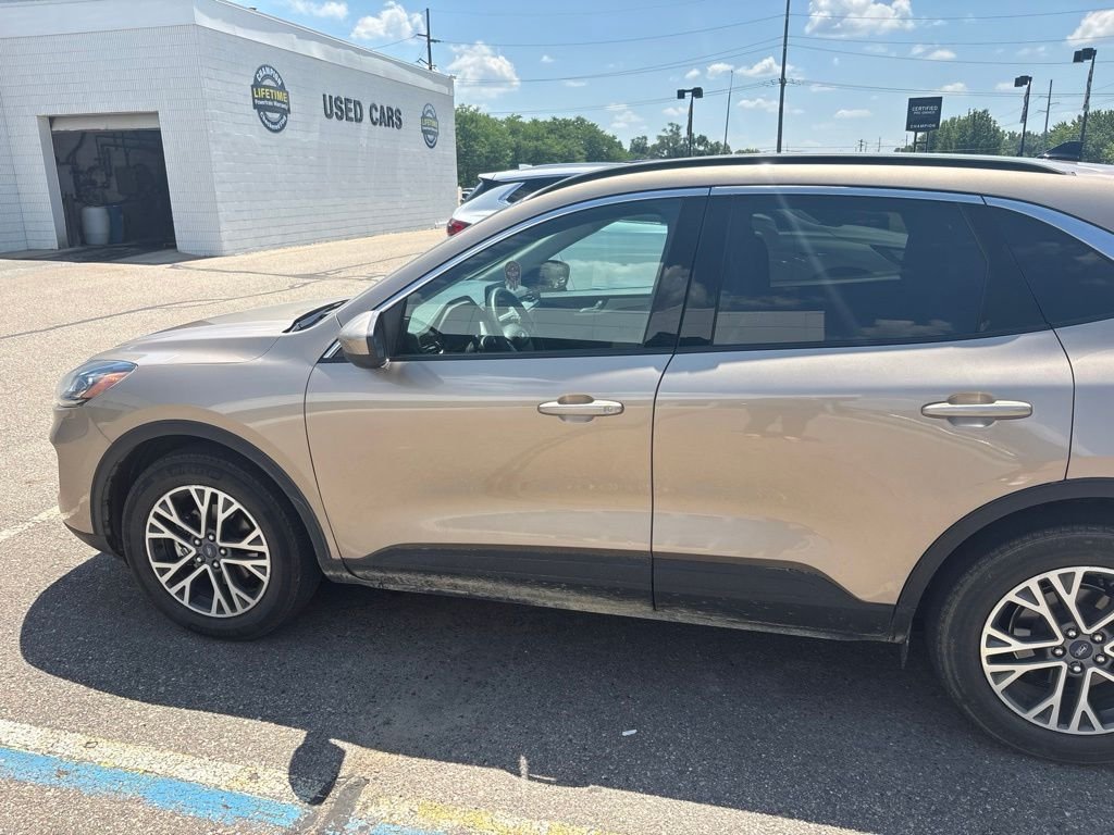 Used 2020 Desert Gold Metallic Ford SEL image 4