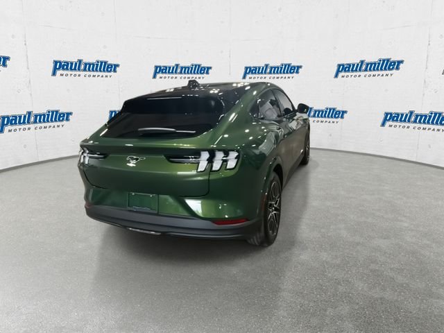 New 2026 Green Ford Premium image 10