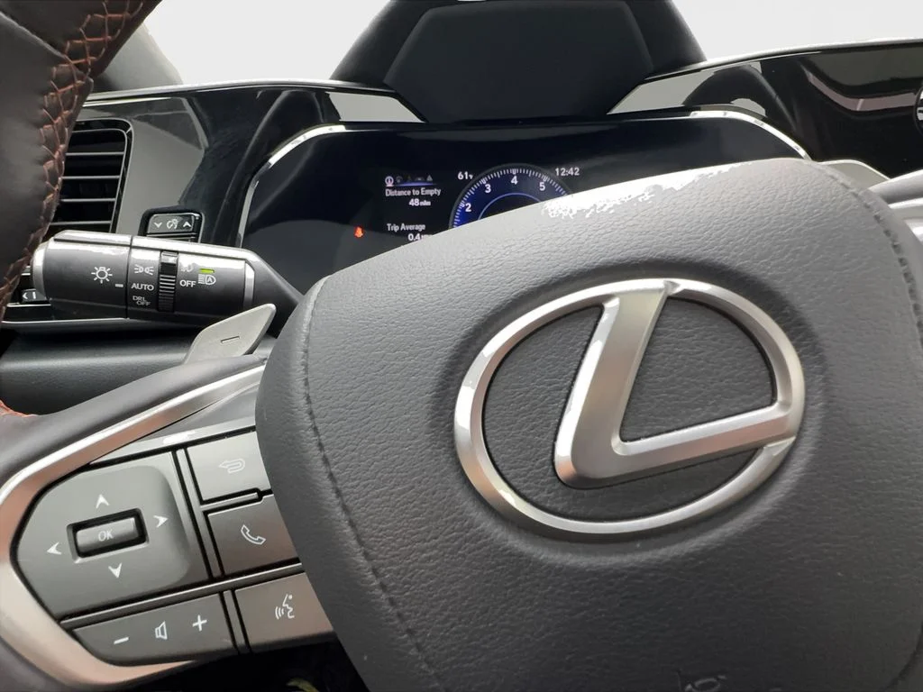 Used 2024 Red Lexus 250 Premium image 42