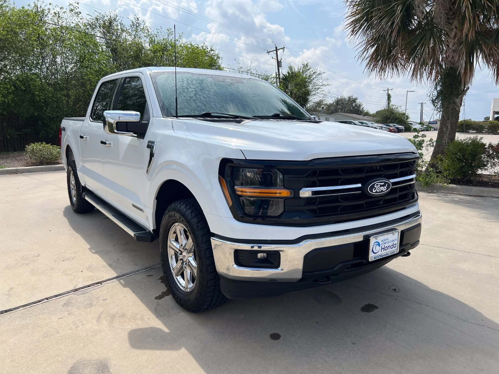 Used 2025 White Ford XLT image 8