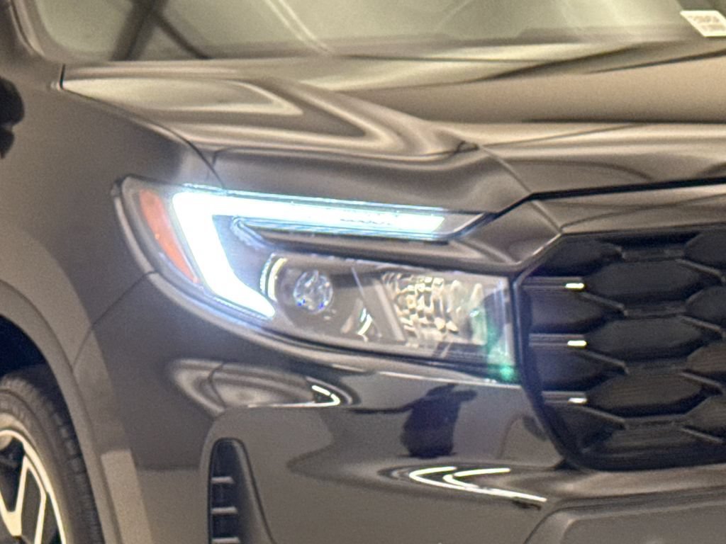 Photo 41