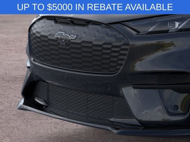 New 2026 Shadow Black Ford Premium image 17