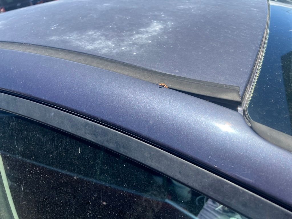 Used 2013 Purple Ford SE image 7