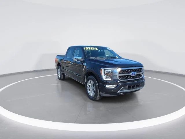 Used 2023 Black Ford Platinum image 4