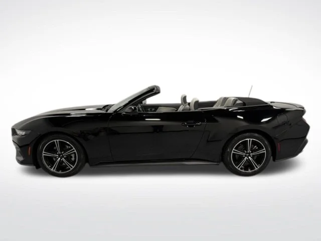 Used 2024 Black Ford EcoBoost Premium image 6