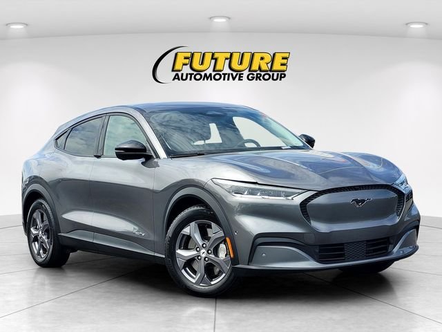 Used 2023 Gray Ford Select image 1