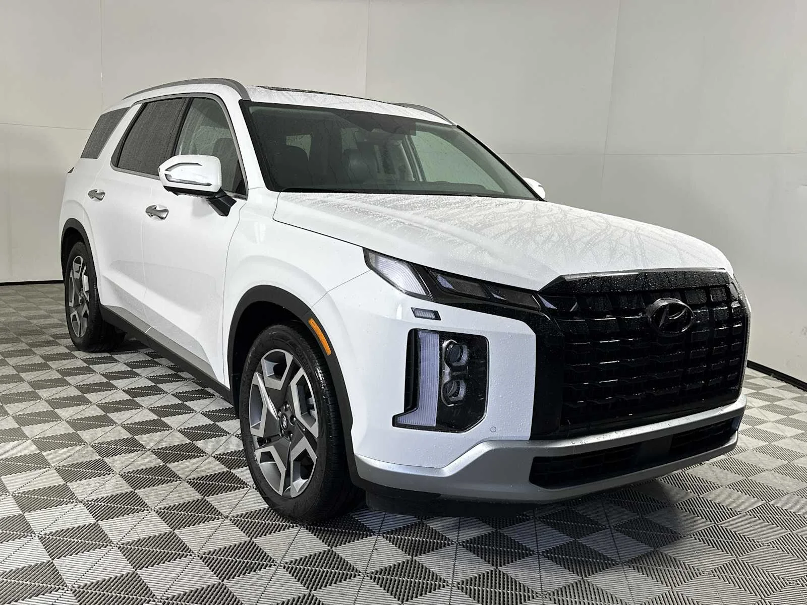 2025 Hyundai Palisade SEL Premium FWD's photo