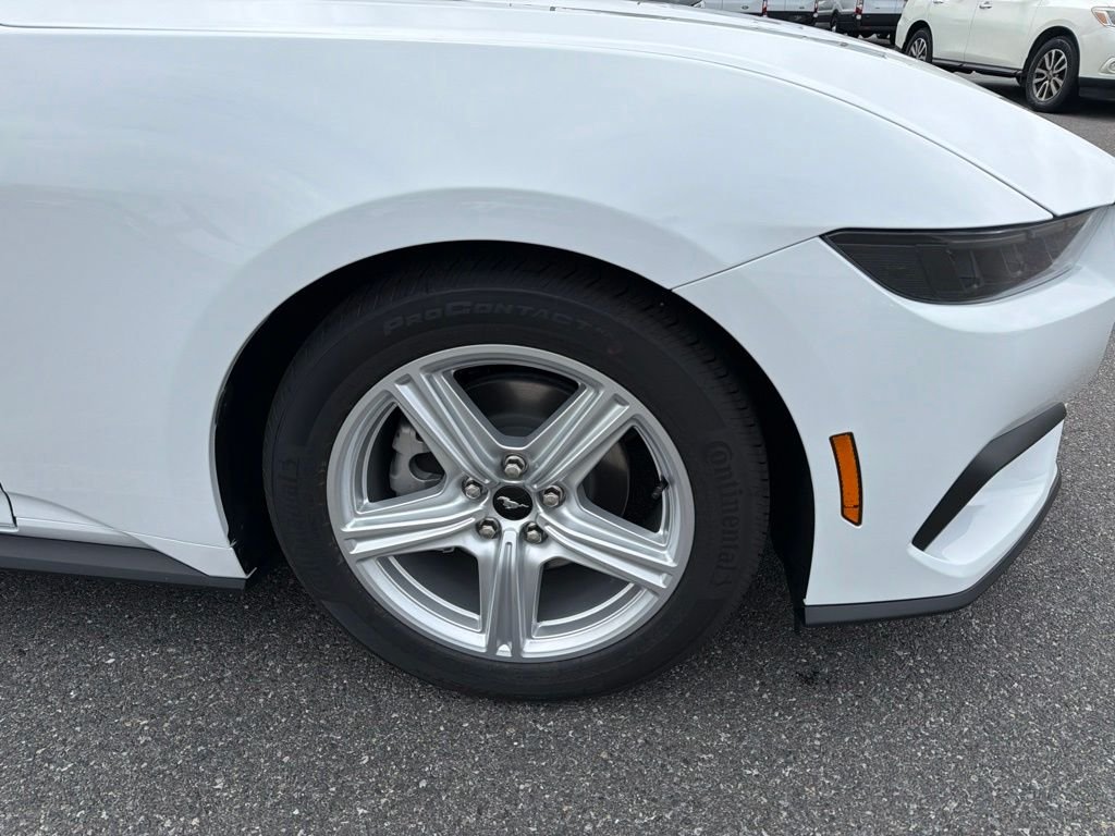 New 2026 Oxford White Ford EcoBoost® Fastback image 4