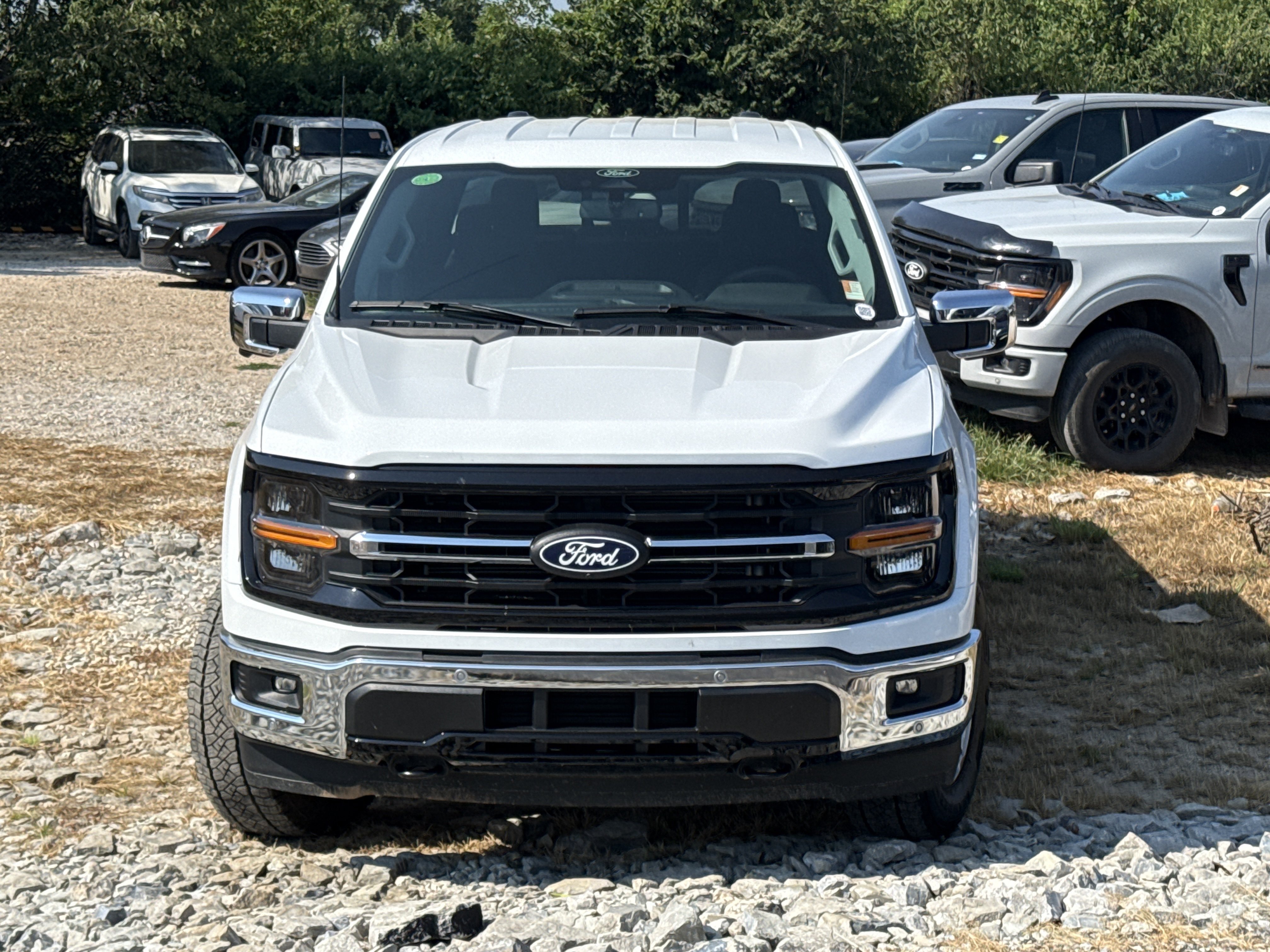 Used 2025 Oxford White Clearcoat Ford XLT 4WD image 2