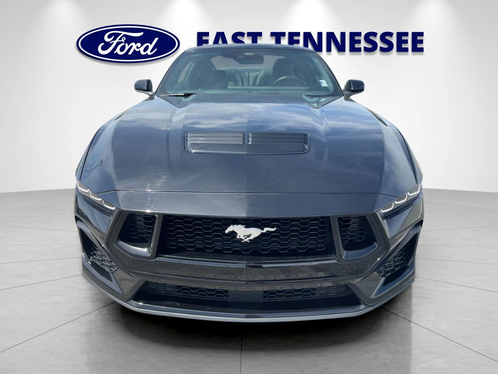 Used 2025 Black Ford GT Premium image 9