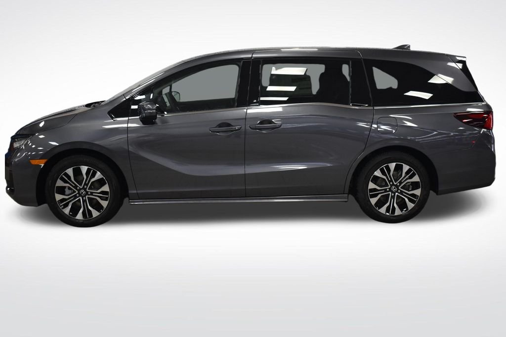 New 2026 Modern Steel Metallic Honda Elite image 4