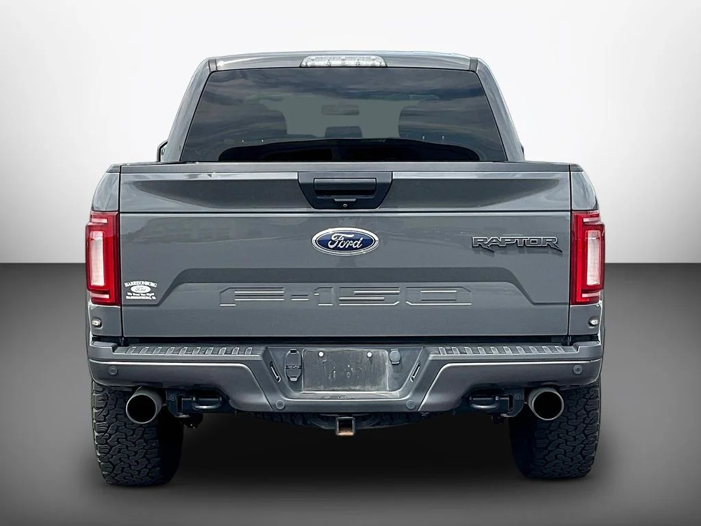 Used 2020 Gray Ford Raptor image 5