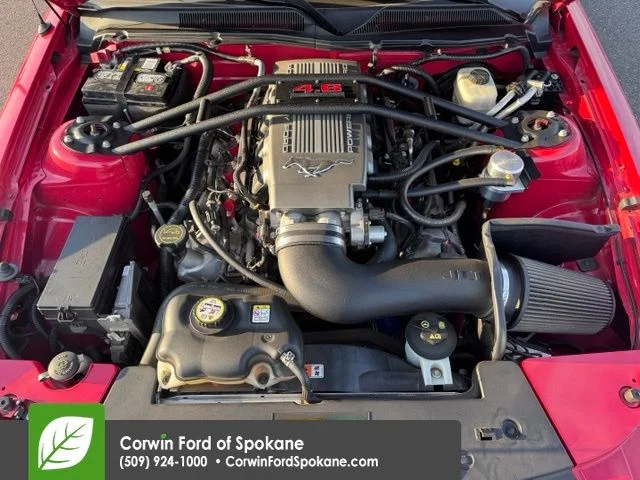 Used 2007 Torch Red Clearcoat Ford GT Premium image 8