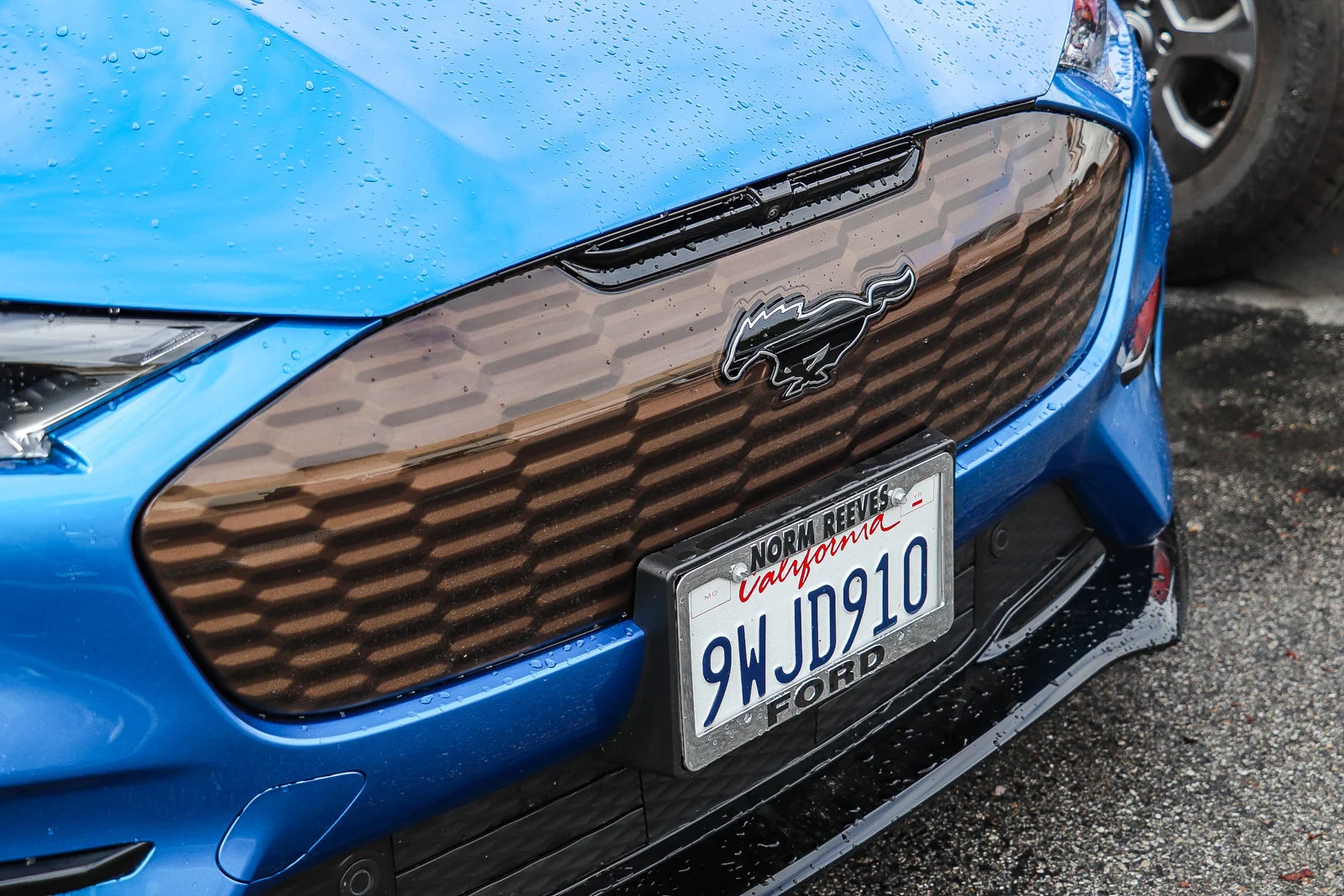 Used 2025 Blue Metallic Ford GT image 6