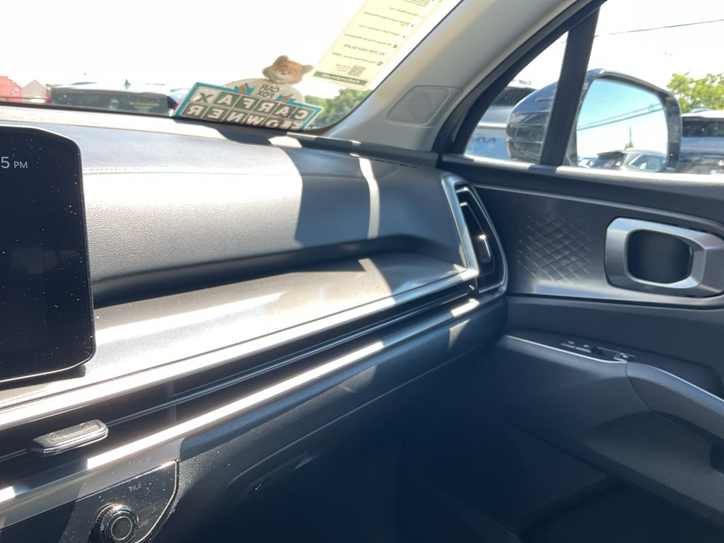 Used 2025 Panthera Metal Kia LX image 32